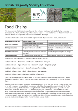 Food Chains - See Nature