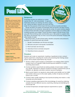 Pond Life - NIEonline.com