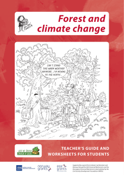 Forest and climate change