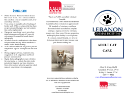 Adult Cat Brochure - Lebanon Animal Hospital