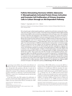 Follicle-Stimulating Hormone Inhibits Adenosine 5