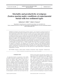 Mortality and productivity of eelgrass Zostera marina under