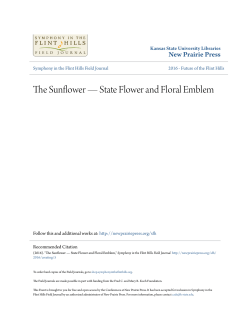 The Sunflower &mdash; State Flower and Floral Emblem