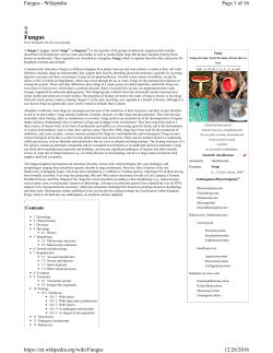 Fungus - PS-Survival.com