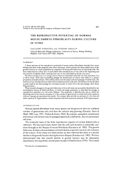 the reproductive potential of normal mouse embryo fibroblasts