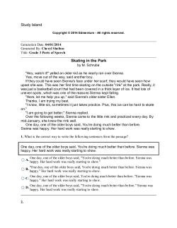 Study Island Skating in the Park