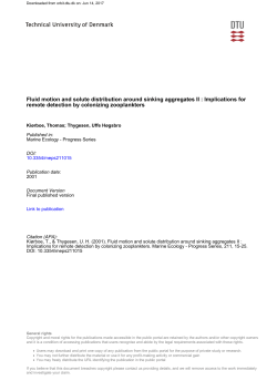 Fluid motion and solute distribution around sinking