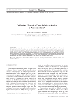 Cnidarian &ldquo;Parasites&rdquo; on Solmissus incisa, a - ICM-CSIC