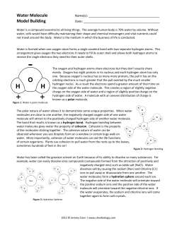 Water Molecule Model Building