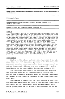 SUMMARY Functionally active 70S ribosomes were chemically