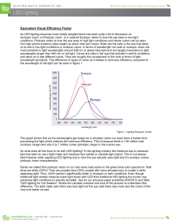 Equivalent Visual Efficiency Factor