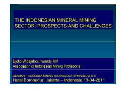 the indonesian mineral mining sector: prospects