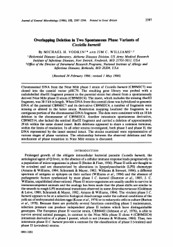 Overlapping Deletion in Two Spontaneous Phase