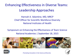Enhancing Effectiveness in Diverse Teams