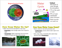 Biogeochemical Cycles