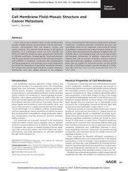 Cell Membrane Fluid&ndash;Mosaic Structure and