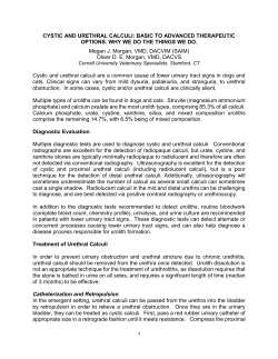 CYSTIC AND URETHRAL CALCULI - Cornell University Veterinary
