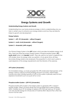 Energy Systems and Growth