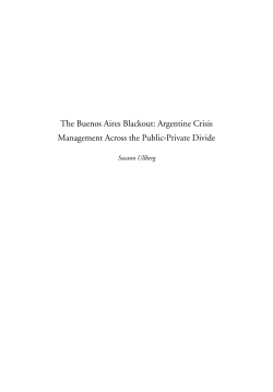 The Buenos Aires Blackout: Argentine Crisis Management Across