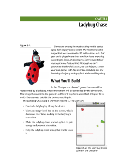 Chapter 5. Ladybug Chase