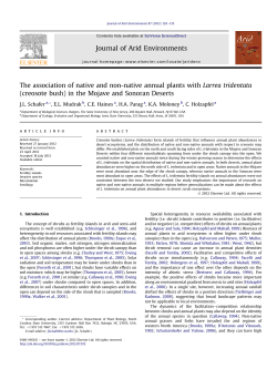 The association of native and non-native annual plants with Larrea