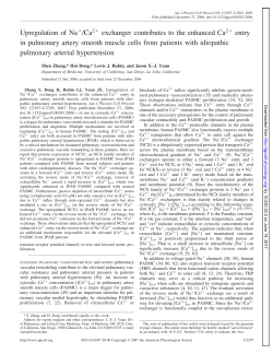 Upregulation of Na /Ca 2 exchanger contributes to the - AJP-Cell