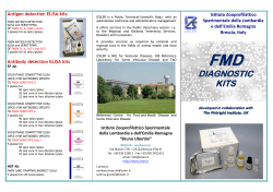 Flyer: FMD-DISCONVAC FMD kits