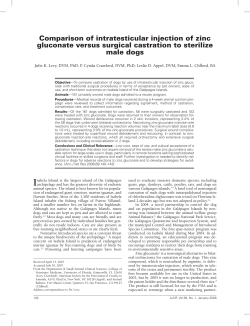 Comparison of intratesticular injection of zinc gluconate