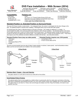 DVS Face Installation &ndash; With Screen (2014)