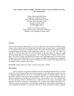 Heavy Metals Contents in Kidney and Heart Tissues of Scarus