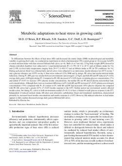 Metabolic adaptations to heat stress in growing cattle