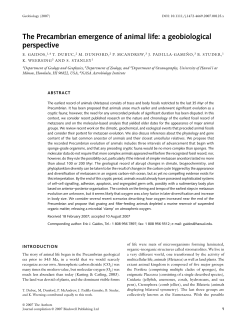 The Precambrian emergence of animal life: a geobiological