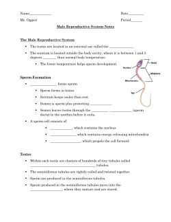 Male - Roslyn School