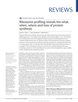 Ribosome profiling reveals