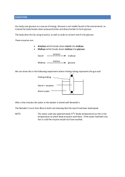 DIGESTION Our body uses glucose as a source of energy. Glucose