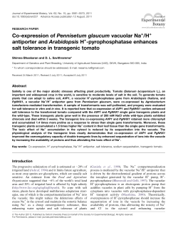 pyrophosphatase enhances salt tolerance in tran