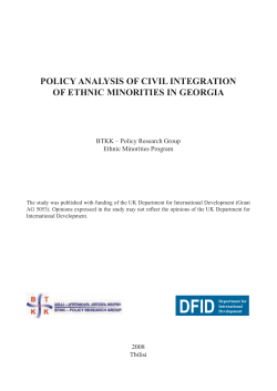 policy analysis of civil integration of ethnic minorities in georgia