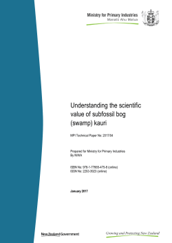 Understanding the scientific value of subfossil bog (swamp) kauri