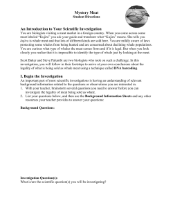Mystery Meat An Introduction to Your Scientific Investigation I. Begin