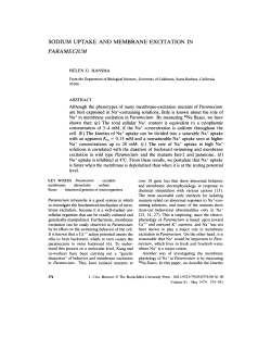 SODIUM UPTAKE AND MEMBRANE EXCITATION IN PARAMECIUM