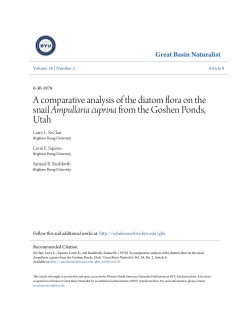 A comparative analysis of the diatom flora on the snail Ampullaria