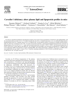 Caveolin-1 deficiency alters plasma lipid and lipoprotein profiles in