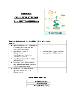 TOPIC B1: CELL LEVEL SYSTEMS B1.4 PHOTOSYNTHESIS