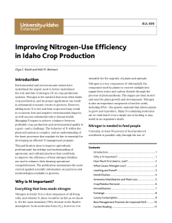 Improving Nitrogen-Use Efficiency in Idaho Crop Production