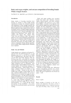Body and organ weights, and carcass composition of