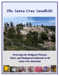 Sandhills Pretty Book to accompany CAPP 8-10-07