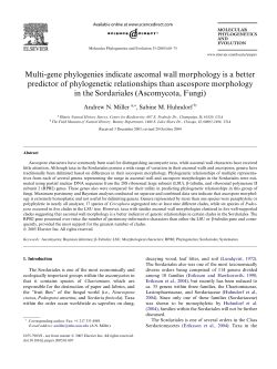 Multi-gene phylogenies indicate ascomal wall morphology is a