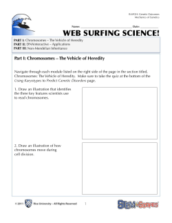 Part I: Chromosomes &ndash; The Vehicle of Heredity