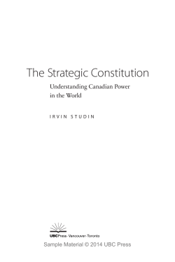 The Strategic Constitution