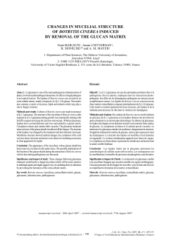 CHANGES IN MYCELIAL STRUCTURE OF BOTRYTIS CINEREA